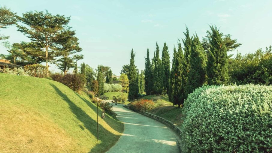 gallery-cr5 gallery-cr5