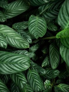 gallery-cr6 gallery-cr6